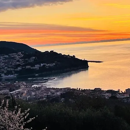 Stella Del Cilento & Sole Del Cilento